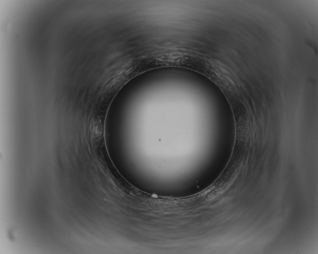 X0000097470040200802291321