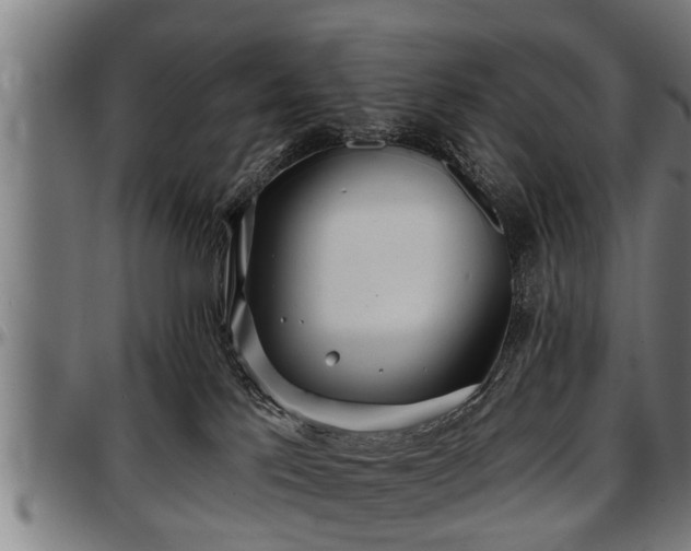 X0000097470041200802291321
