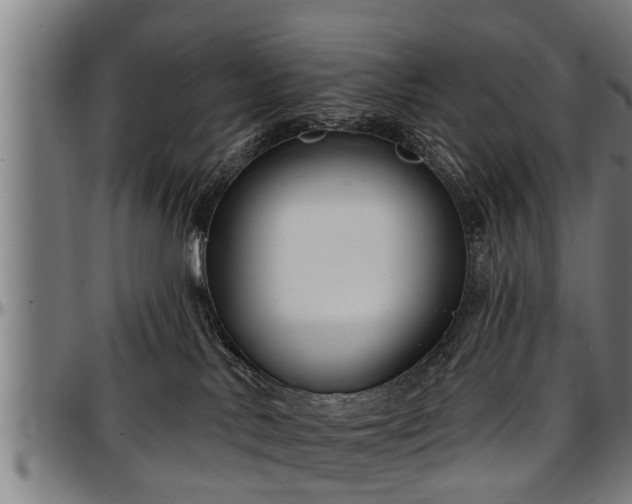 X0000097470042200802291321