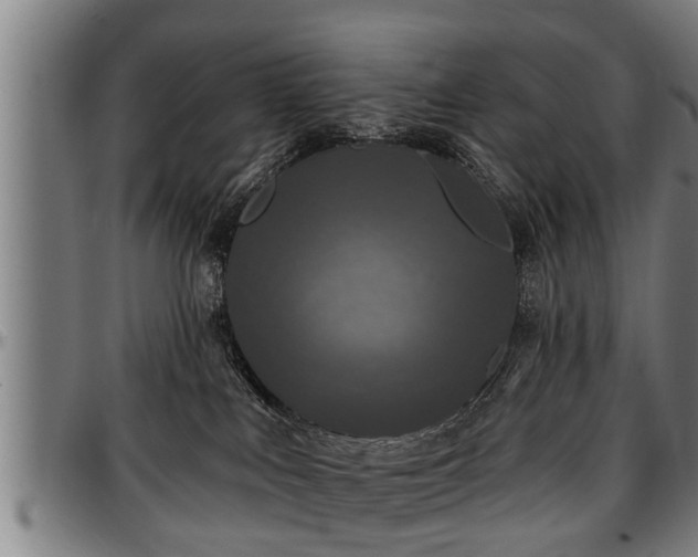 X0000097470043200802291321
