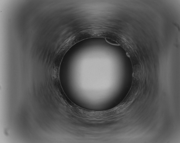 X0000097470044200802291321