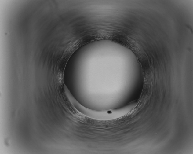X0000097470045200802291321