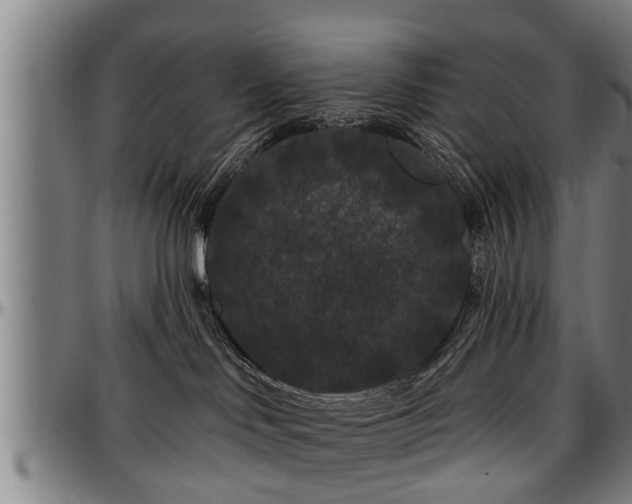 X0000097470046200802291321