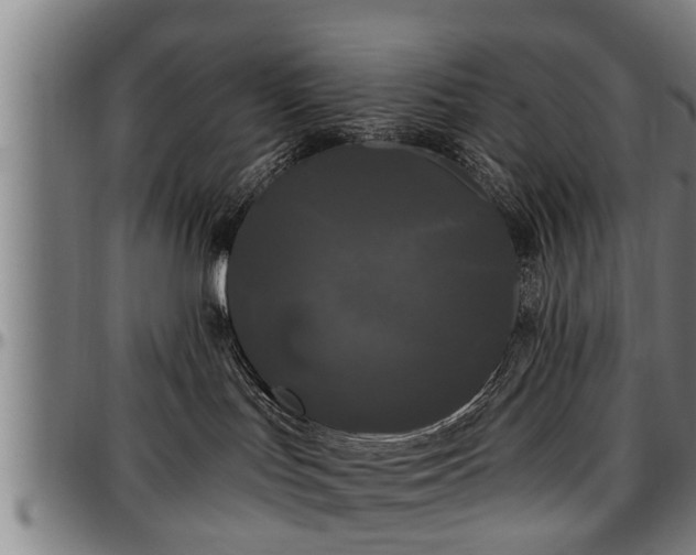 X0000097470047200802291321