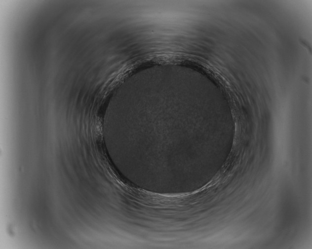 X0000097470048200802291321