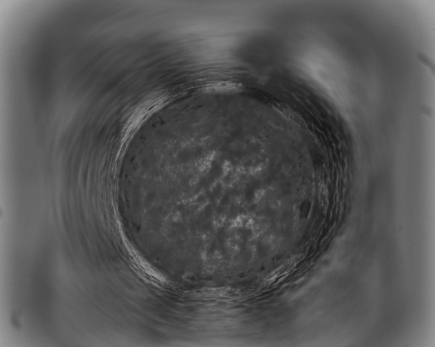 X0000097470049200802291321