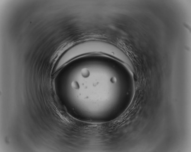 X0000097470050200802291321
