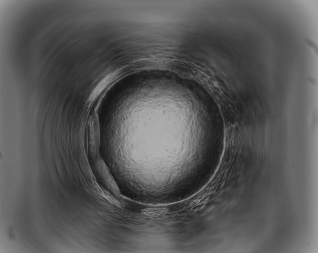 X0000097470051200802291321