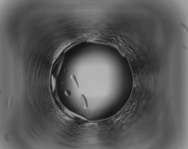 X0000097470052200802291321