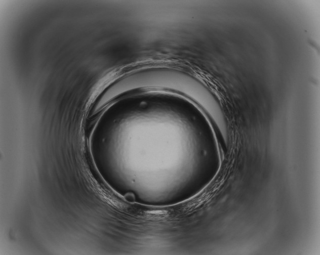 X0000097470053200802291321