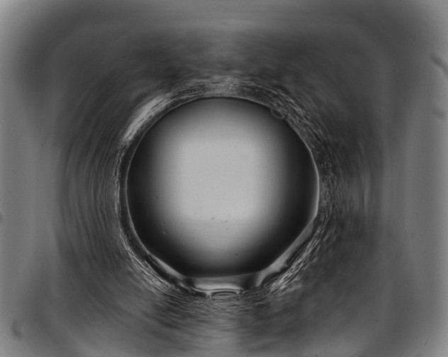 X0000097470054200802291321