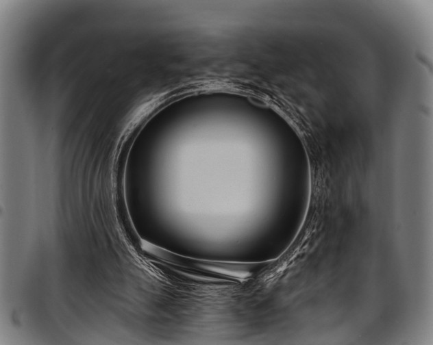 X0000097470055200802291321