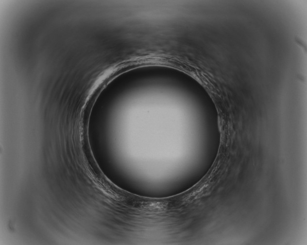 X0000097470056200802291321