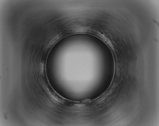 X0000097470057200802291321