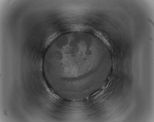 X0000097470058200802291321