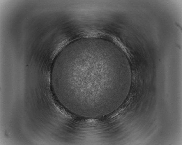 X0000097470059200802291321