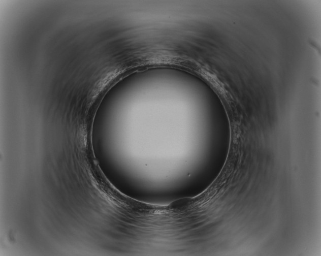 X0000097470060200802291321