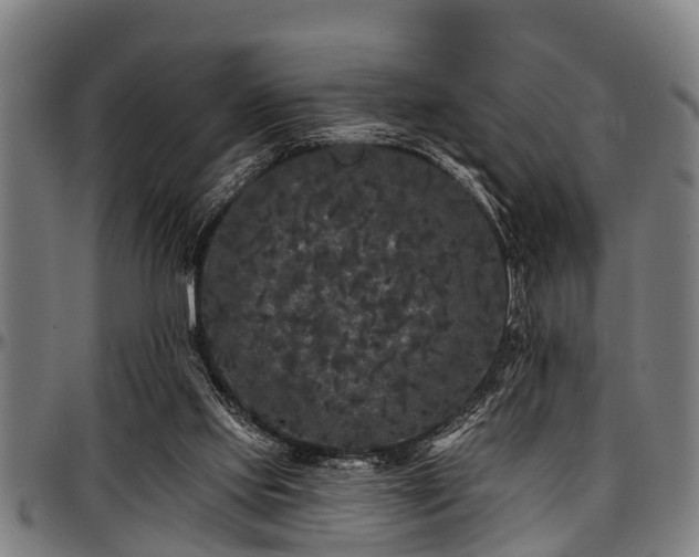 X0000097470061200802291321