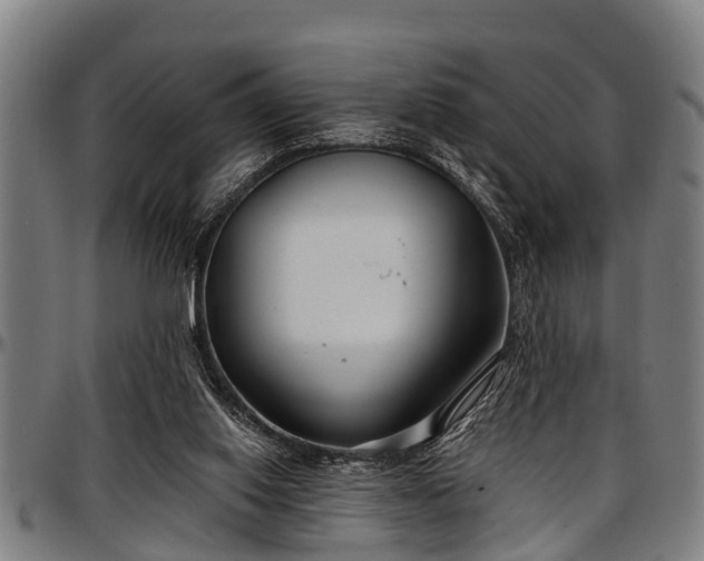 X0000097470062200802291321