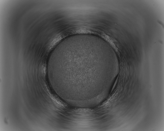 X0000097470063200802291321