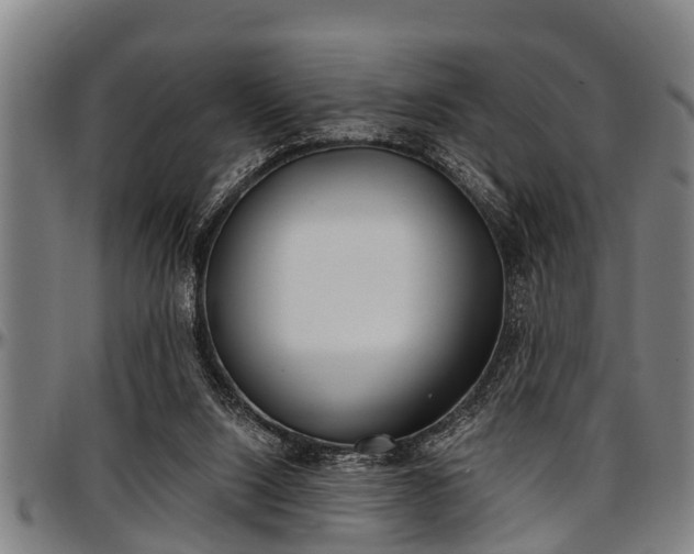 X0000097470064200802291321