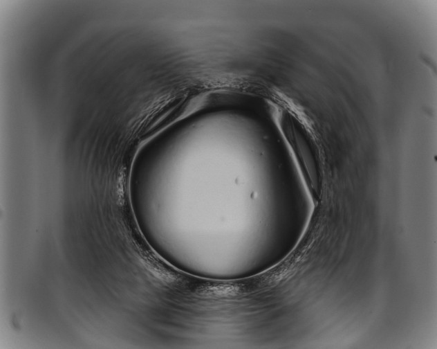 X0000097470065200802291321