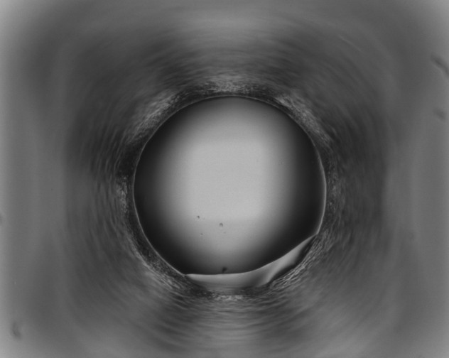 X0000097470066200802291321