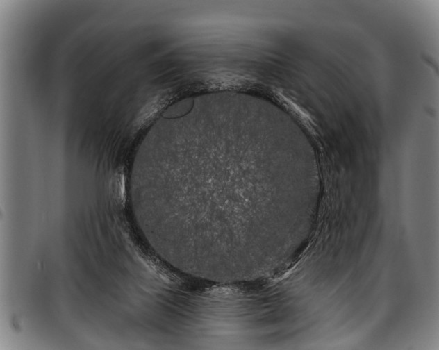 X0000097470067200802291321