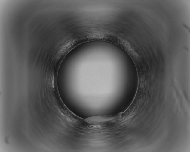 X0000097470068200802291321