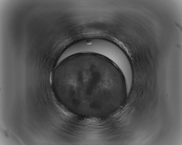 X0000097470069200802291321