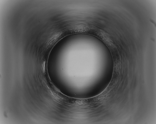 X0000097470070200802291321
