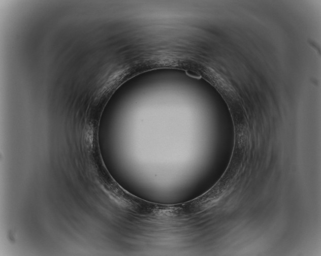 X0000097470072200802291321