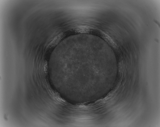 X0000097470073200802291321