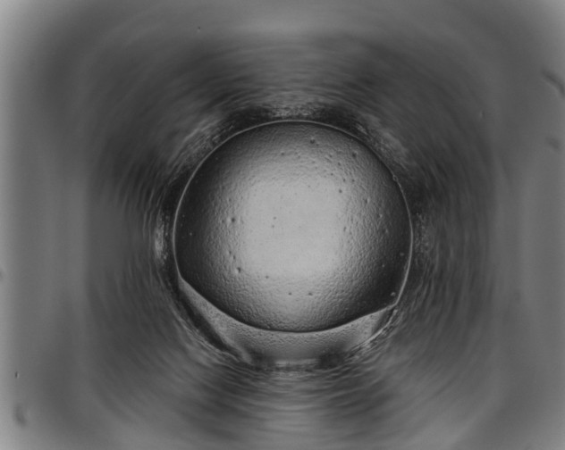 X0000097470074200802291321