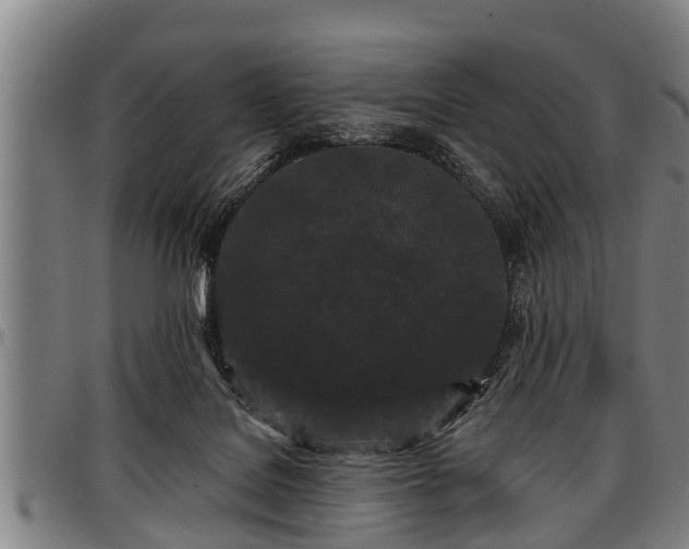 X0000097470076200802291321