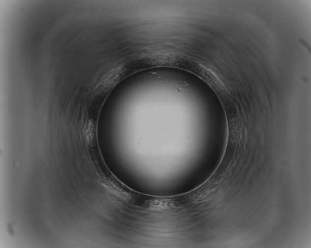 X0000097470077200802291321