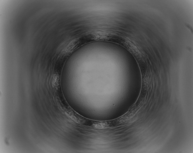 X0000097470079200802291321