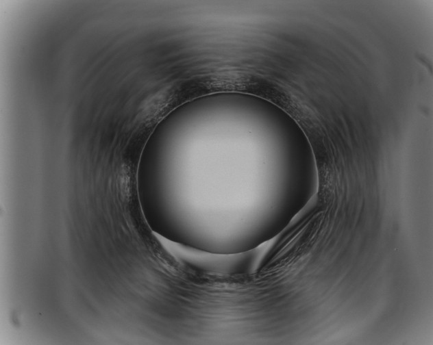 X0000097470080200802291321