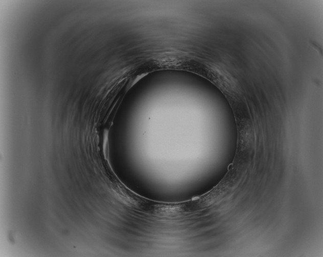 X0000097470081200802291321