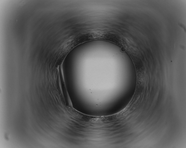 X0000097470082200802291321