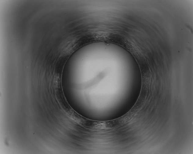 X0000097470083200802291321