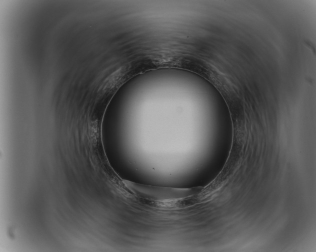 X0000097470085200802291321