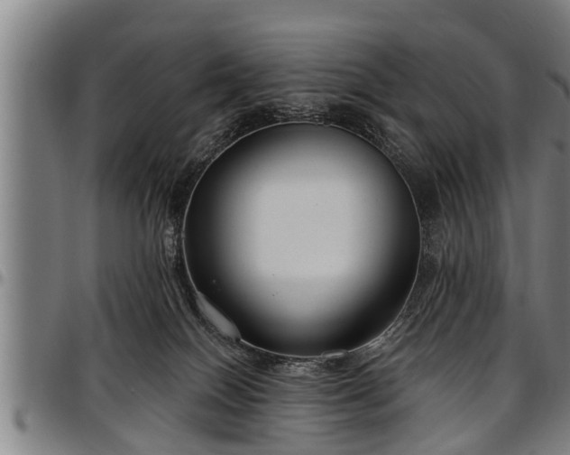 X0000097470086200802291321