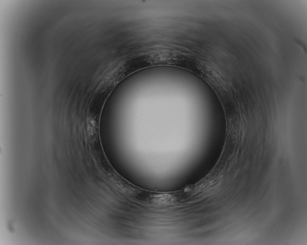 X0000097470087200802291321