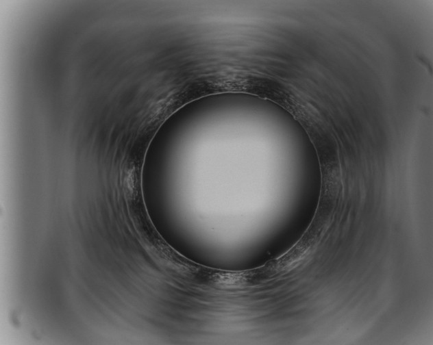 X0000097470088200802291321