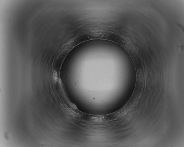 X0000097470089200802291321