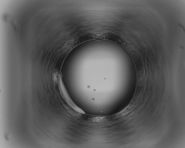 X0000097470090200802291321