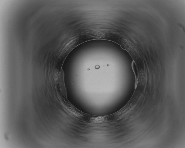 X0000097470092200802291321