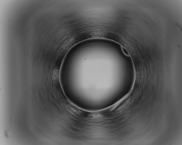 X0000097470093200802291321
