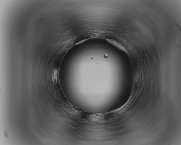 X0000097470094200802291321